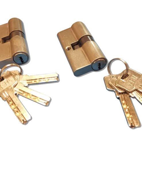 Lot de 2 cylindres de sécurité à clés identiques, clé à points incopiable